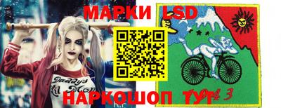 индика Кунгур