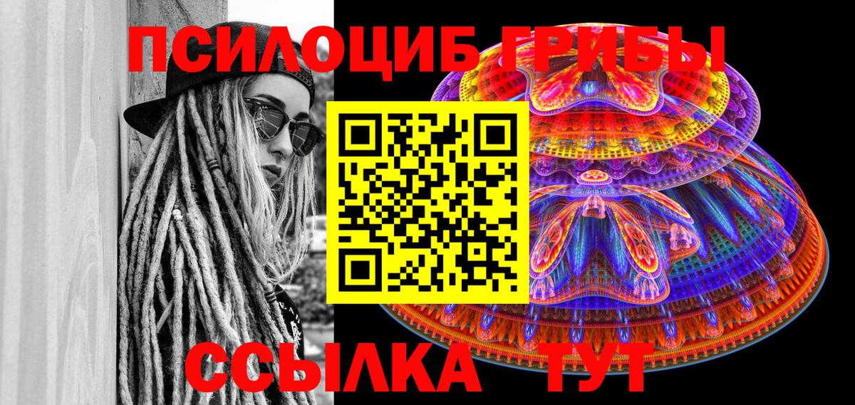 Галлюциногенные грибы Psilocybine cubensis  Вход с VPN  купить   Керчь 